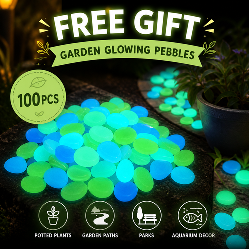 100pcs Garden Glowing Pebbles